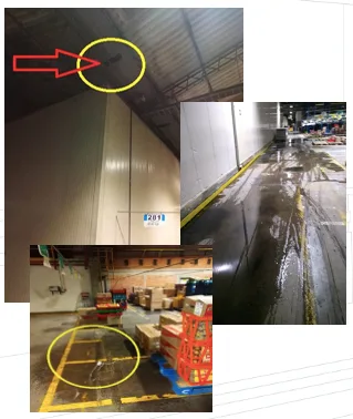 V. análisis de daños por agua - GARIX Ingeniería